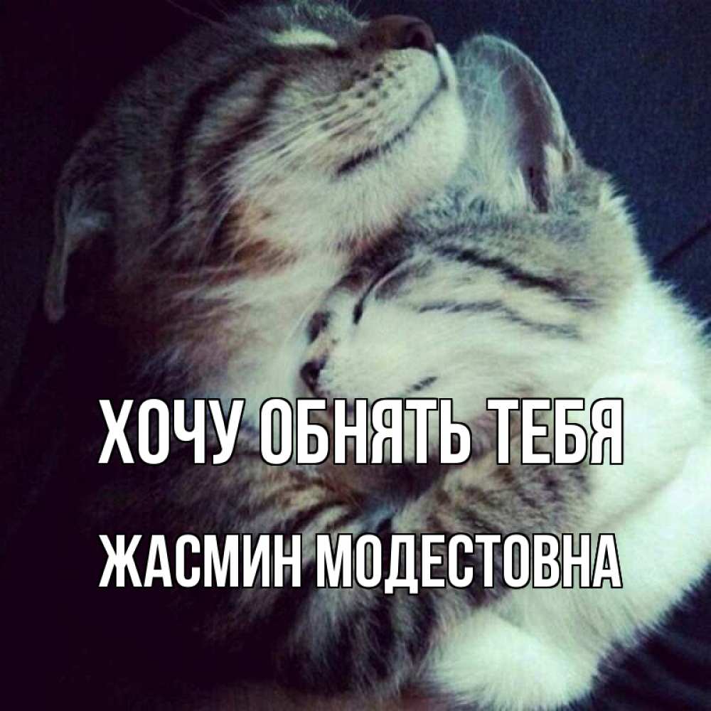 Картинка Хочу обнять тебя, Жасмин Модестовна