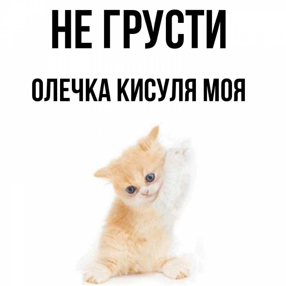 Кисуля текст