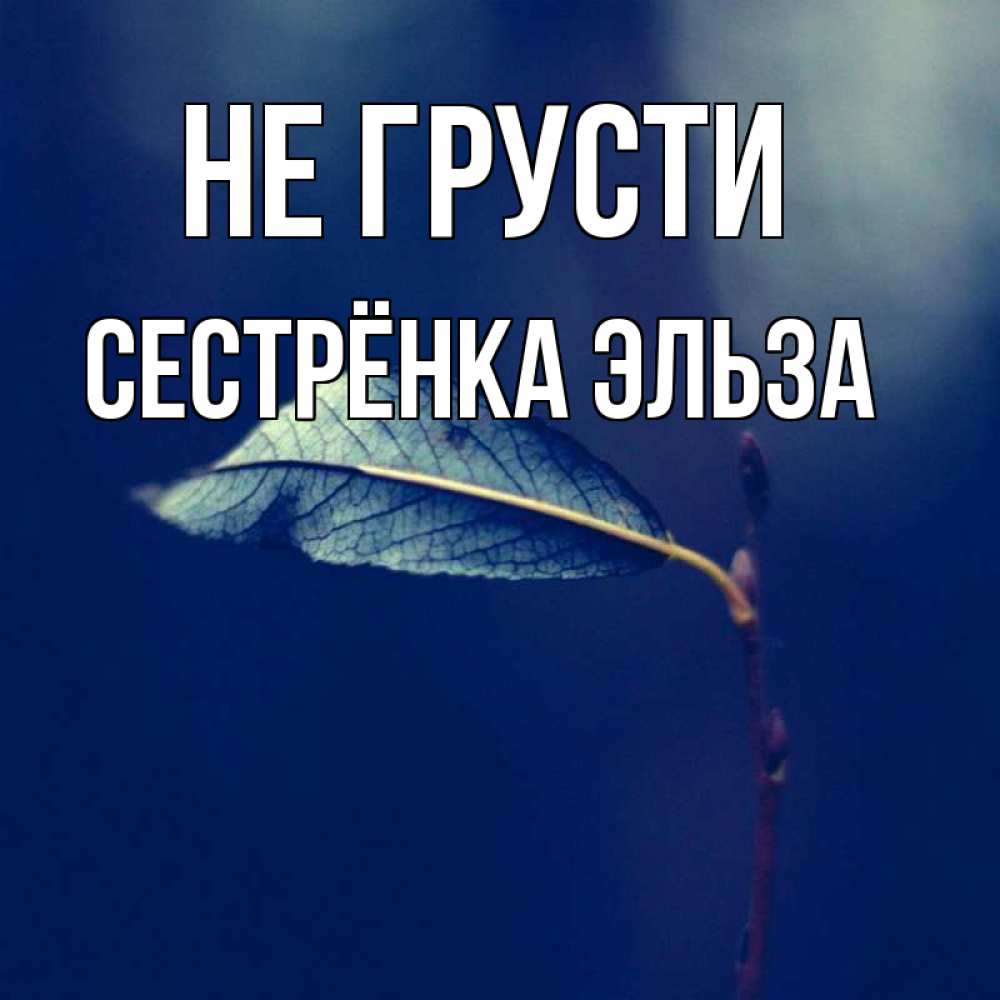 Открытка на каждый день с именем, Сестрёнка-Эльза Не грусти растение Прикольная открытка с пожеланием онлайн скачать бесплатно 