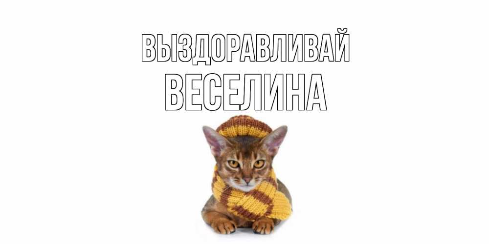 Открытка на каждый день с именем, Веселина Выздоравливай родные не болейте Прикольная открытка с пожеланием онлайн скачать бесплатно 