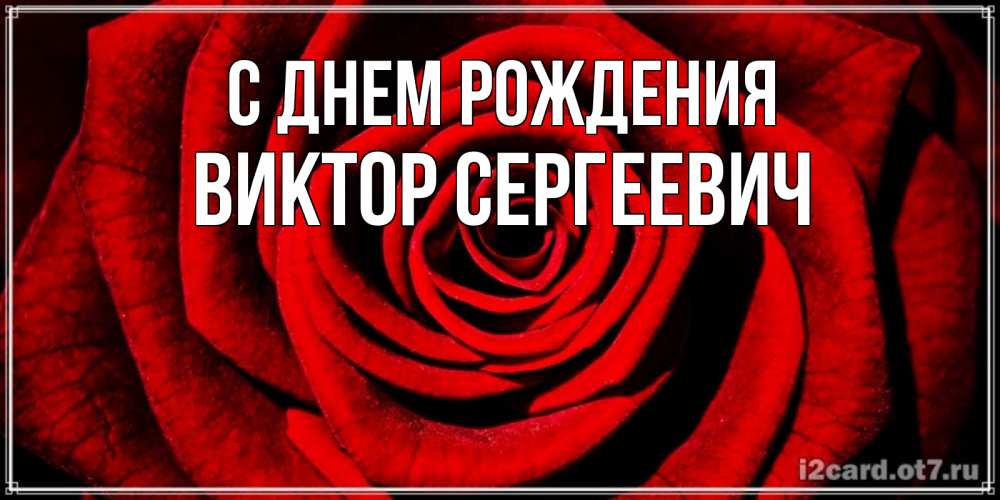 Открытка на каждый день с именем, Виктор-Сергеевич С днем рождения алая роза Прикольная открытка с пожеланием онлайн скачать бесплатно 
