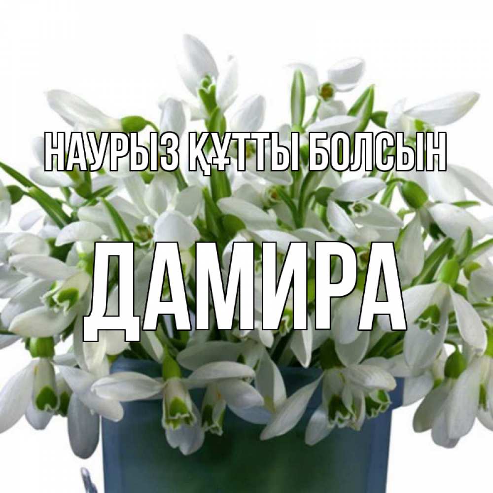 Открытка на каждый день с именем, Дамира Наурыз құтты болсын цветы к наурызу Прикольная открытка с пожеланием онлайн скачать бесплатно 