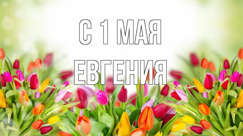 Открытка на каждый день с именем, Евгения С 1 мая С 1 мая Прикольная открытка с пожеланием онлайн скачать бесплатно 