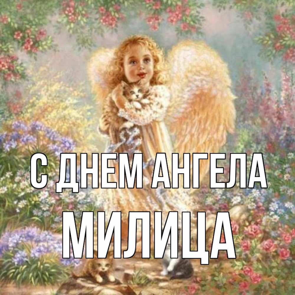 Открытка на каждый день с именем, Милица С днем ангела держит котенка Прикольная открытка с пожеланием онлайн скачать бесплатно 