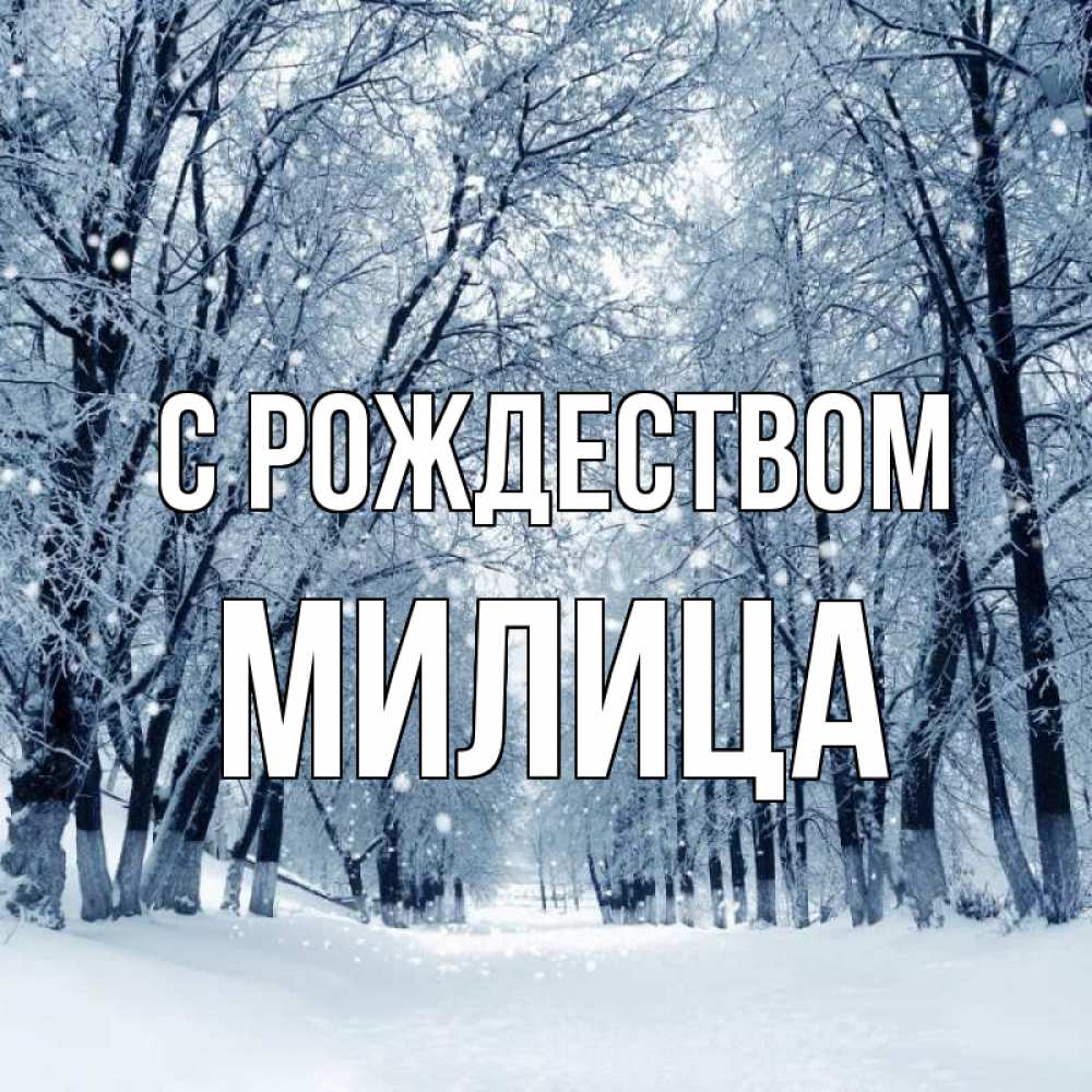 Открытка на каждый день с именем, Милица С рождеством снег, лес, парк Прикольная открытка с пожеланием онлайн скачать бесплатно 