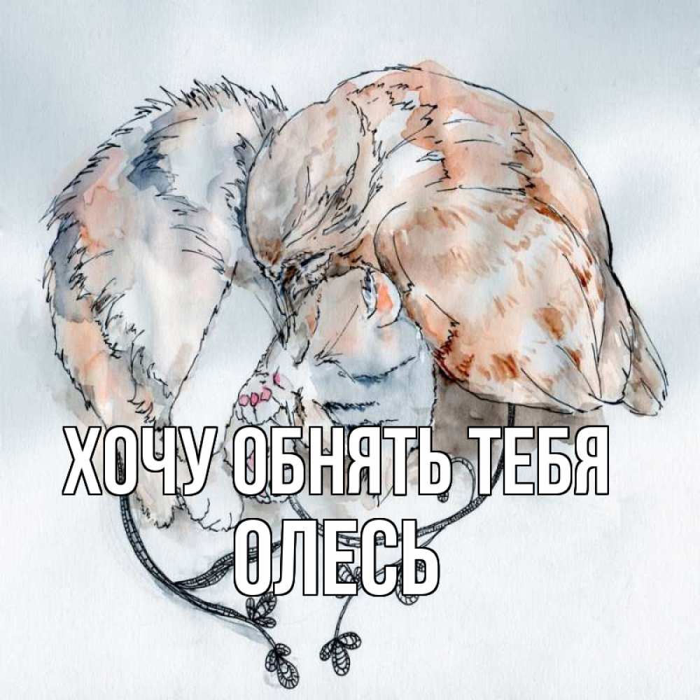 Открытка на каждый день с именем, Олесь Хочу обнять тебя можно быть вместе даже когда очень разные Прикольная открытка с пожеланием онлайн скачать бесплатно 