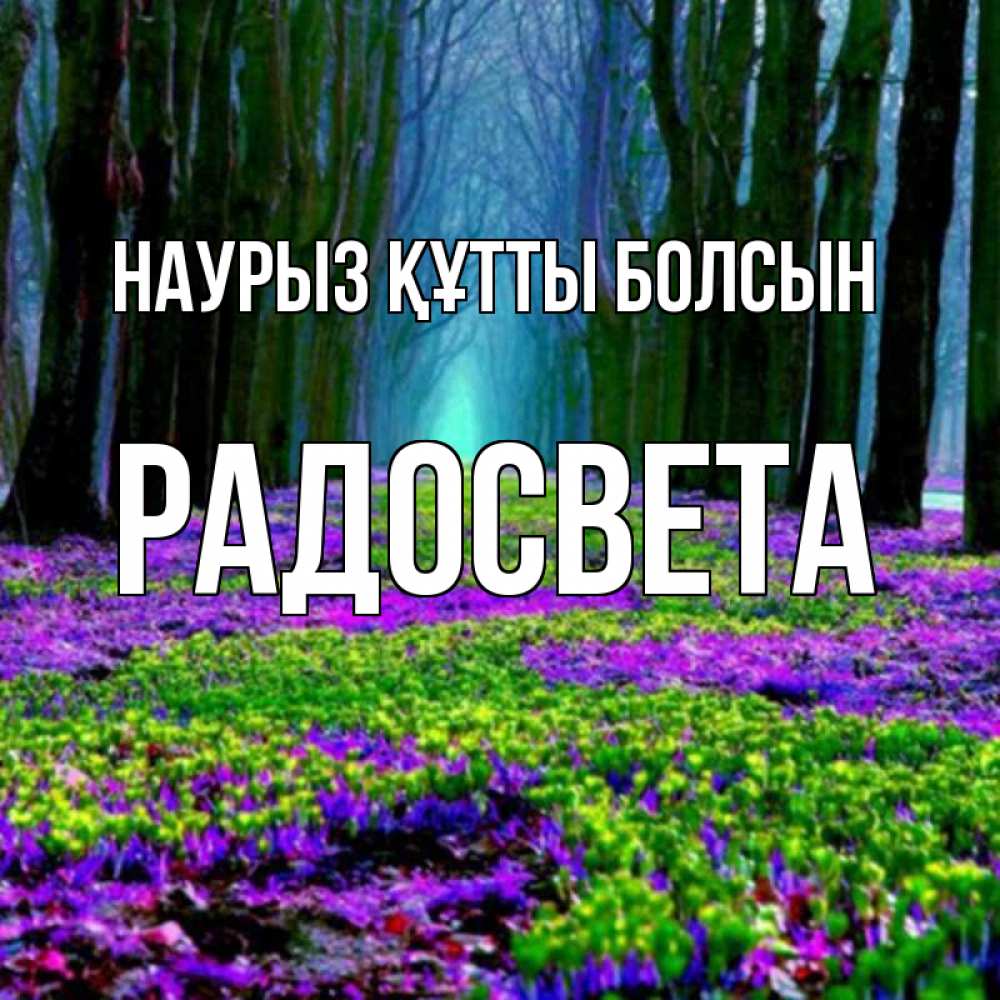 Открытка на каждый день с именем, Радосвета Наурыз құтты болсын фиолетовые цветы в лесу 1 Прикольная открытка с пожеланием онлайн скачать бесплатно 