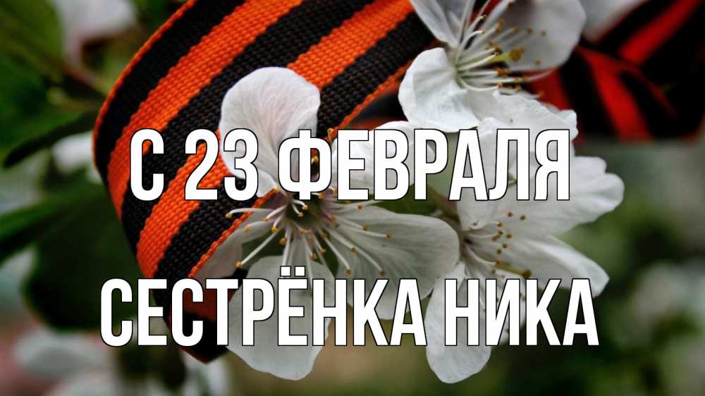 Открытка на каждый день с именем, Сестрёнка-Ника С 23 февраля 23 февраля Прикольная открытка с пожеланием онлайн скачать бесплатно 