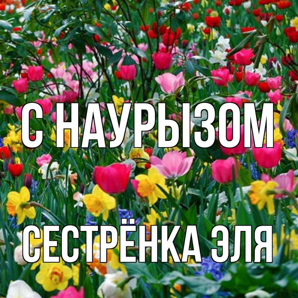 Открытка на каждый день с именем, Сестрёнка-Эля С наурызом с наурызом праздником весны поздравления для женщины Прикольная открытка с пожеланием онлайн скачать бесплатно 