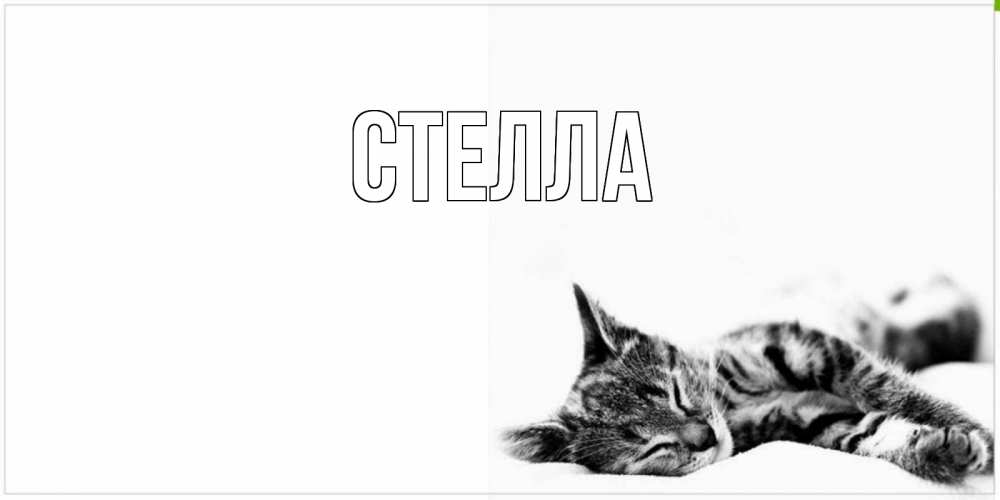 Открытка на каждый день с именем, Стелла Главная котуся Прикольная открытка с пожеланием онлайн скачать бесплатно 