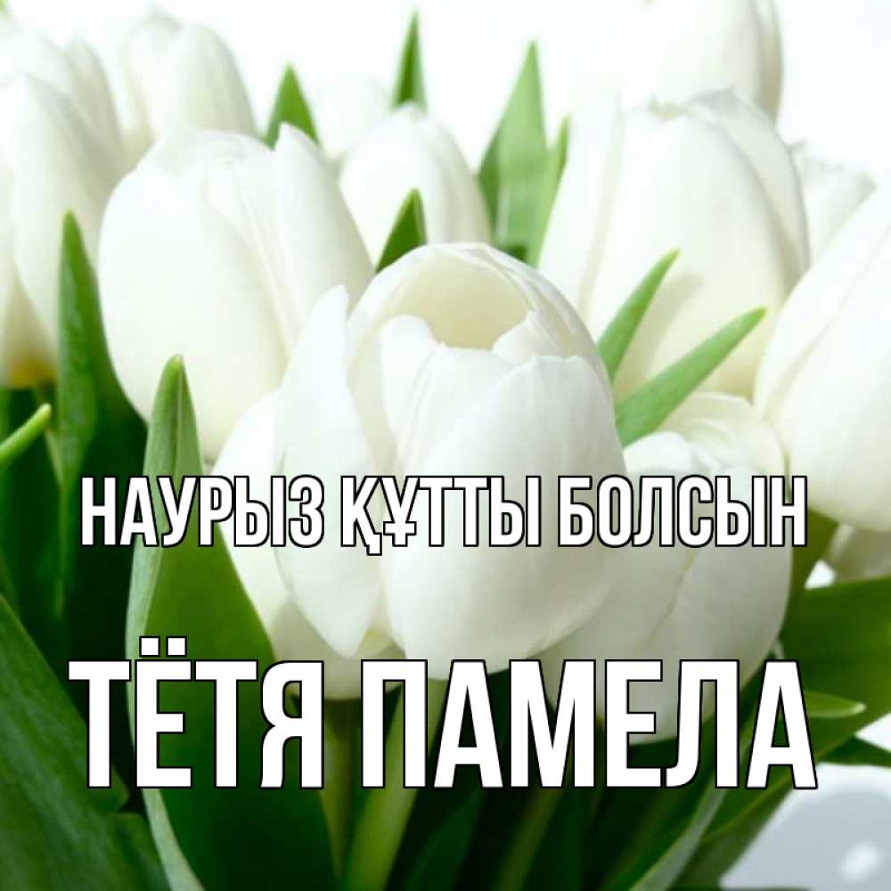 Открытка на каждый день с именем, Тётя-Памела Наурыз құтты болсын цветы Прикольная открытка с пожеланием онлайн скачать бесплатно 
