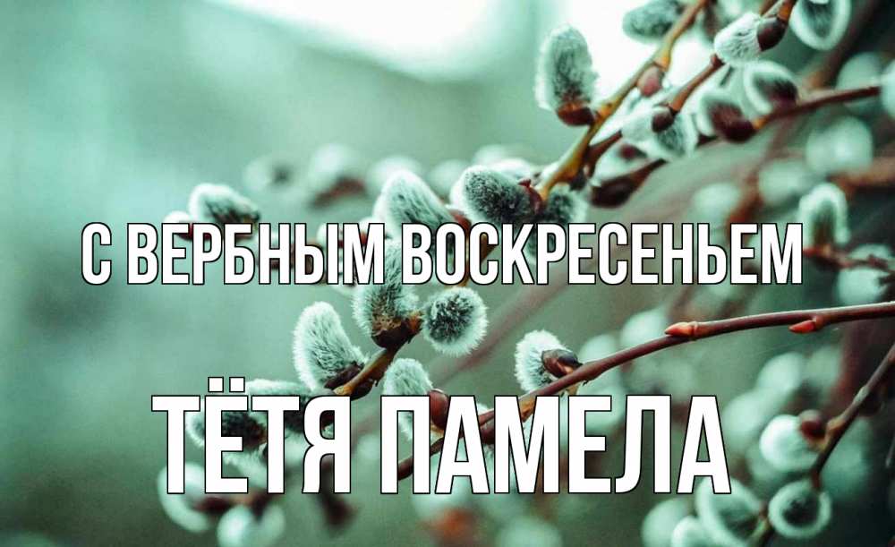 Открытка на каждый день с именем, Тётя-Памела С вербным воскресеньем верба Прикольная открытка с пожеланием онлайн скачать бесплатно 