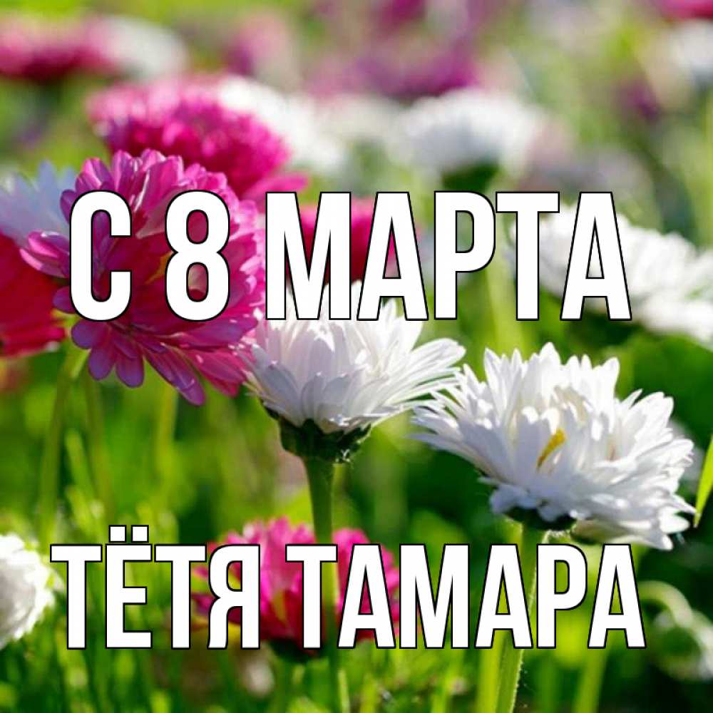 Открытка на каждый день с именем, Тётя-Тамара С 8 марта международный женский день 1 Прикольная открытка с пожеланием онлайн скачать бесплатно 