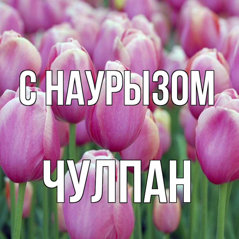 Открытка на каждый день с именем, Чулпан С наурызом праздник весны наурыз 69 Прикольная открытка с пожеланием онлайн скачать бесплатно 