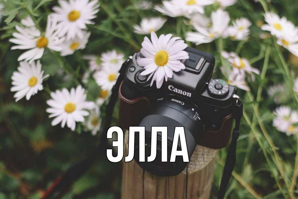 Открытка на каждый день с именем, Элла Главная с днем фотографа Прикольная открытка с пожеланием онлайн скачать бесплатно 