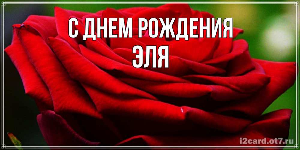 Открытка на каждый день с именем, Эля С днем рождения розочка очень красивая Прикольная открытка с пожеланием онлайн скачать бесплатно 