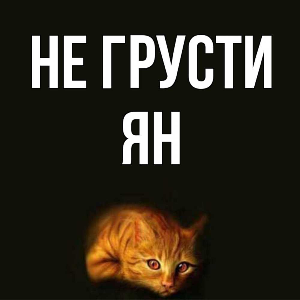 Открытка на каждый день с именем, Ян Не грусти лежащий кот в темноте Прикольная открытка с пожеланием онлайн скачать бесплатно 