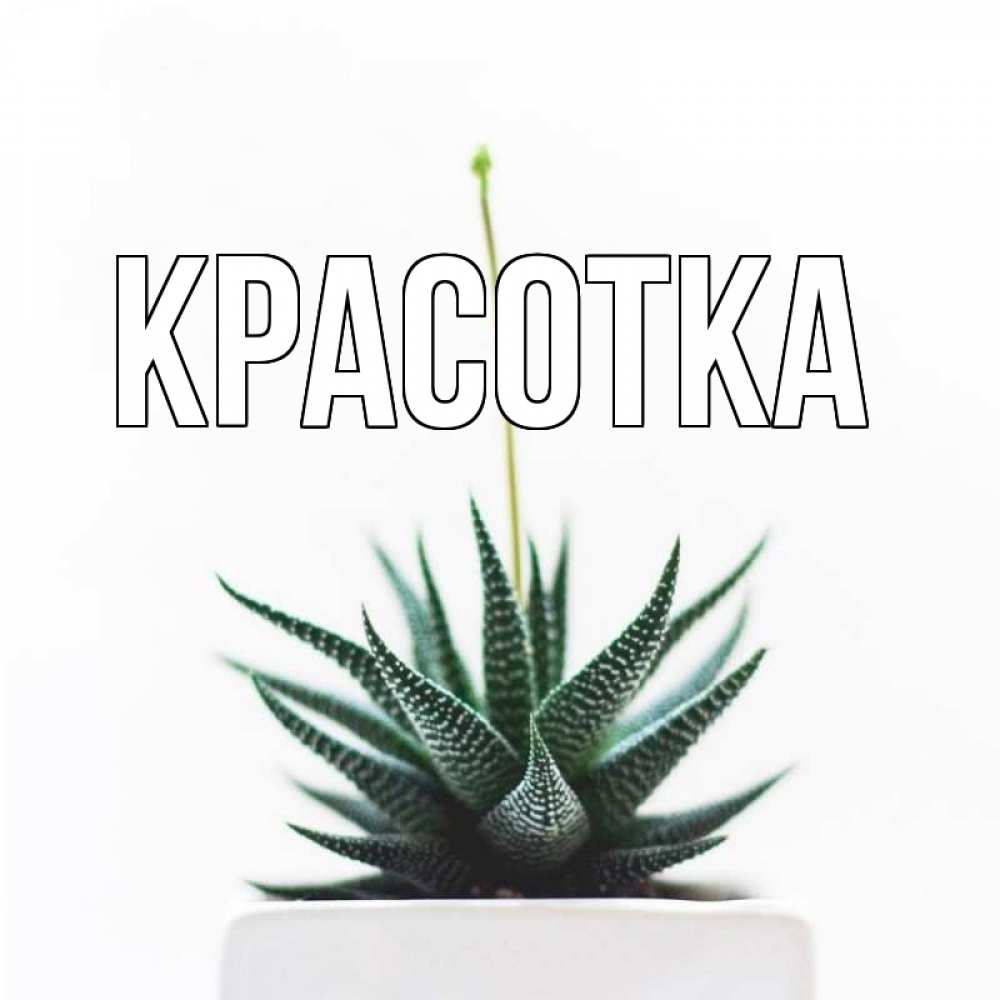 Открытка на каждый день с именем, красотка Главная короче это непонятная колючка Прикольная открытка с пожеланием онлайн скачать бесплатно 