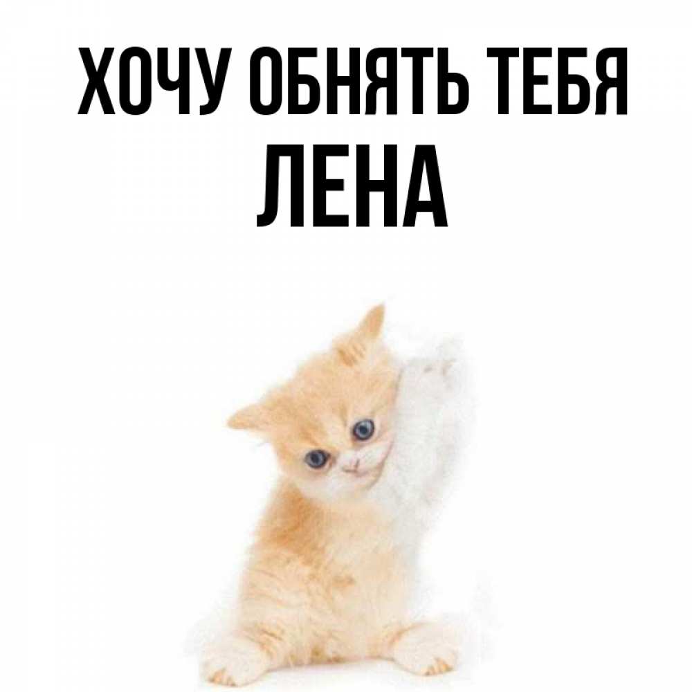 Я тебя люблю леночка. Хочу тебя лена. Я тебя люблю леночка. Хочу к лене. Открытка любимой девушке.