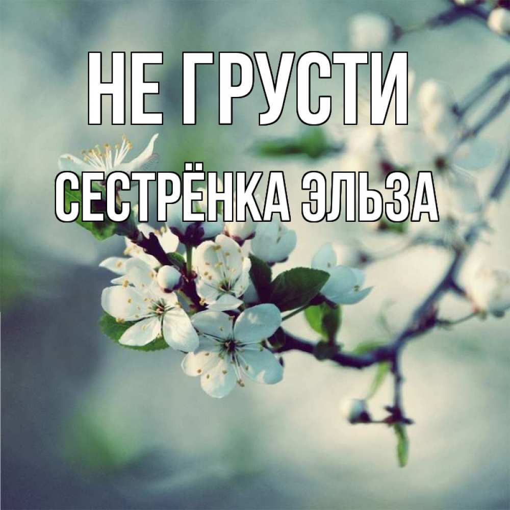Открытка на каждый день с именем, Сестрёнка-Эльза Не грусти яблоня в цвету 1 Прикольная открытка с пожеланием онлайн скачать бесплатно 