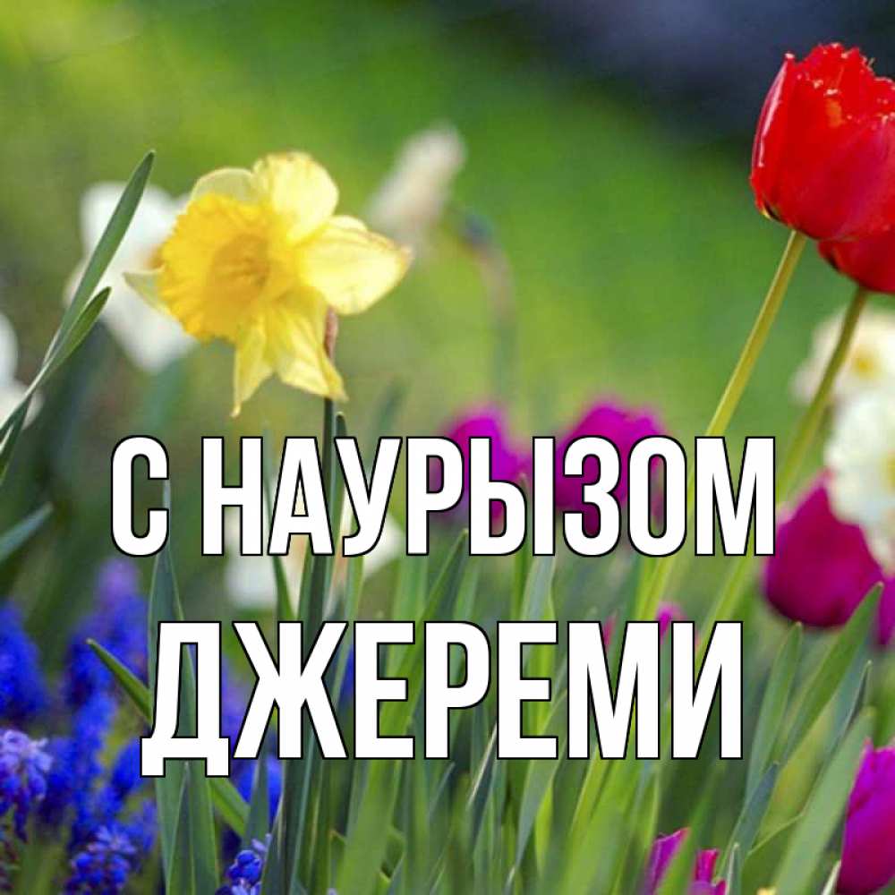 Открытка на каждый день с именем, Джереми С наурызом праздник весны наурыз 3 Прикольная открытка с пожеланием онлайн скачать бесплатно 