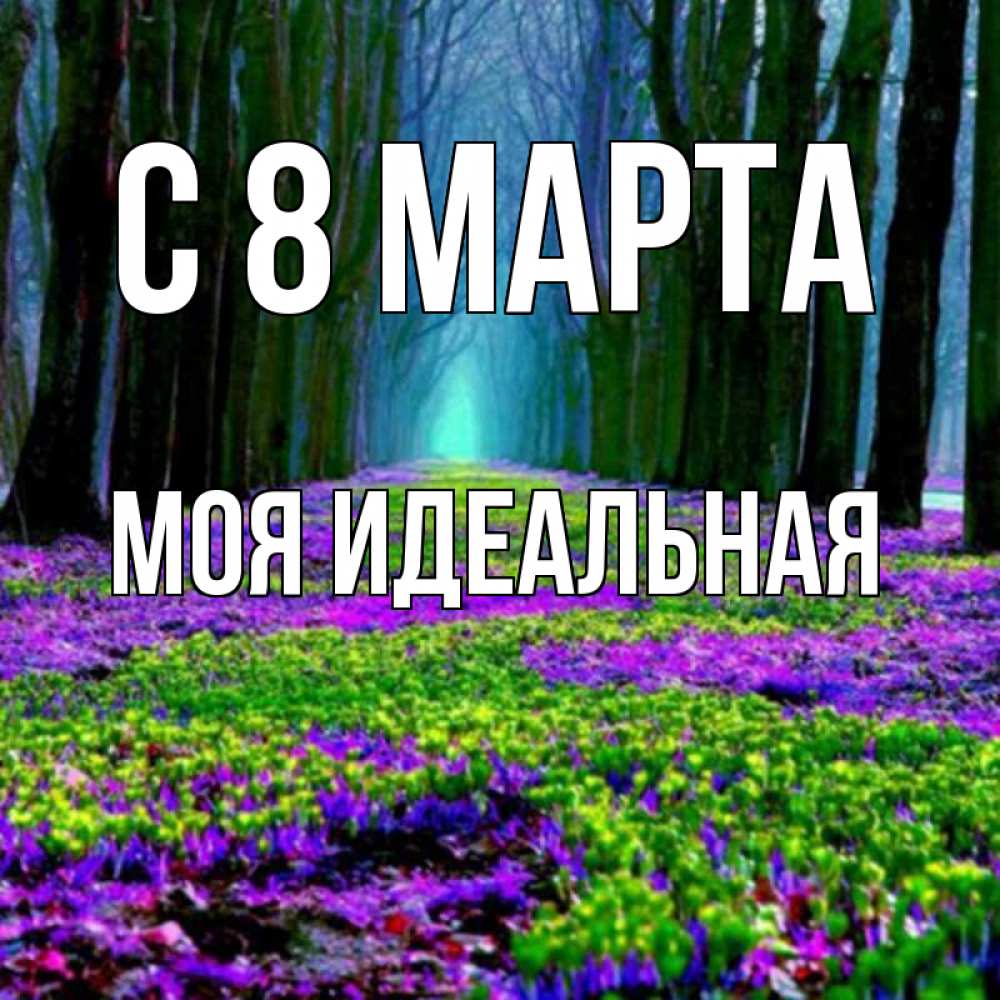 Открытка на каждый день с именем, Моя-идеальная С 8 марта фиолетовые цветы в лесу 1 Прикольная открытка с пожеланием онлайн скачать бесплатно 
