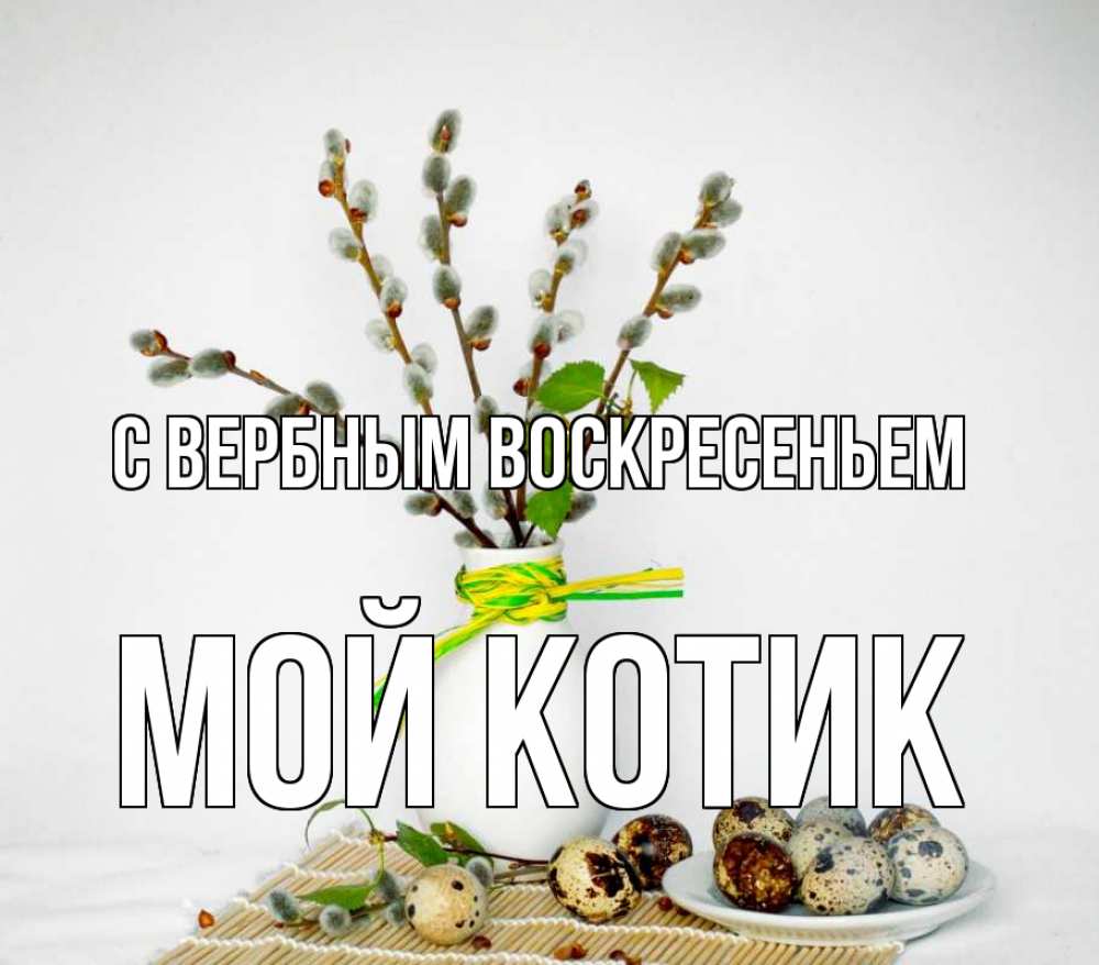 Открытка на каждый день с именем, Мой-Котик С вербным воскресеньем верба Прикольная открытка с пожеланием онлайн скачать бесплатно 