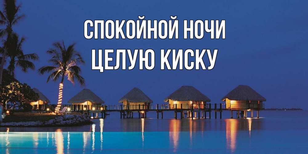 Картинка Спокойной ночи, целую киску