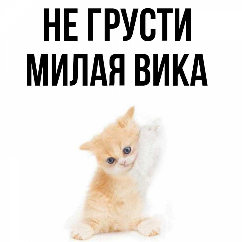Не грусти милая моя