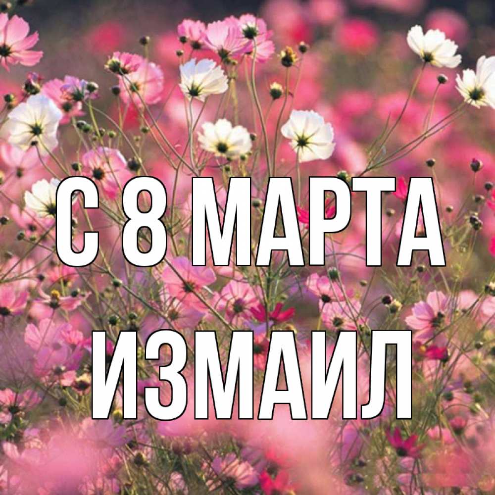 Открытка на каждый день с именем, Измаил С 8 марта красиво 1 Прикольная открытка с пожеланием онлайн скачать бесплатно 