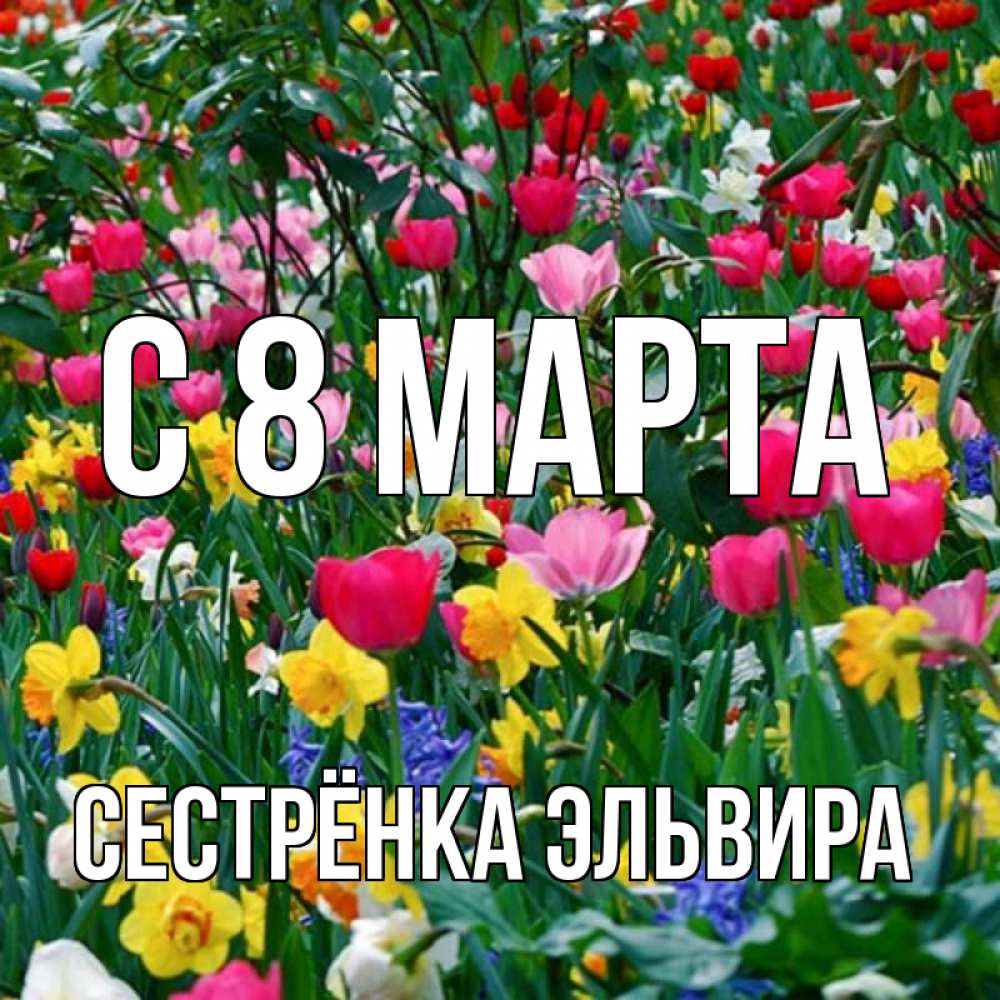 Открытка на каждый день с именем, Сестрёнка-Эльвира С 8 марта с международным женским днем поздравления для женщины Прикольная открытка с пожеланием онлайн скачать бесплатно 