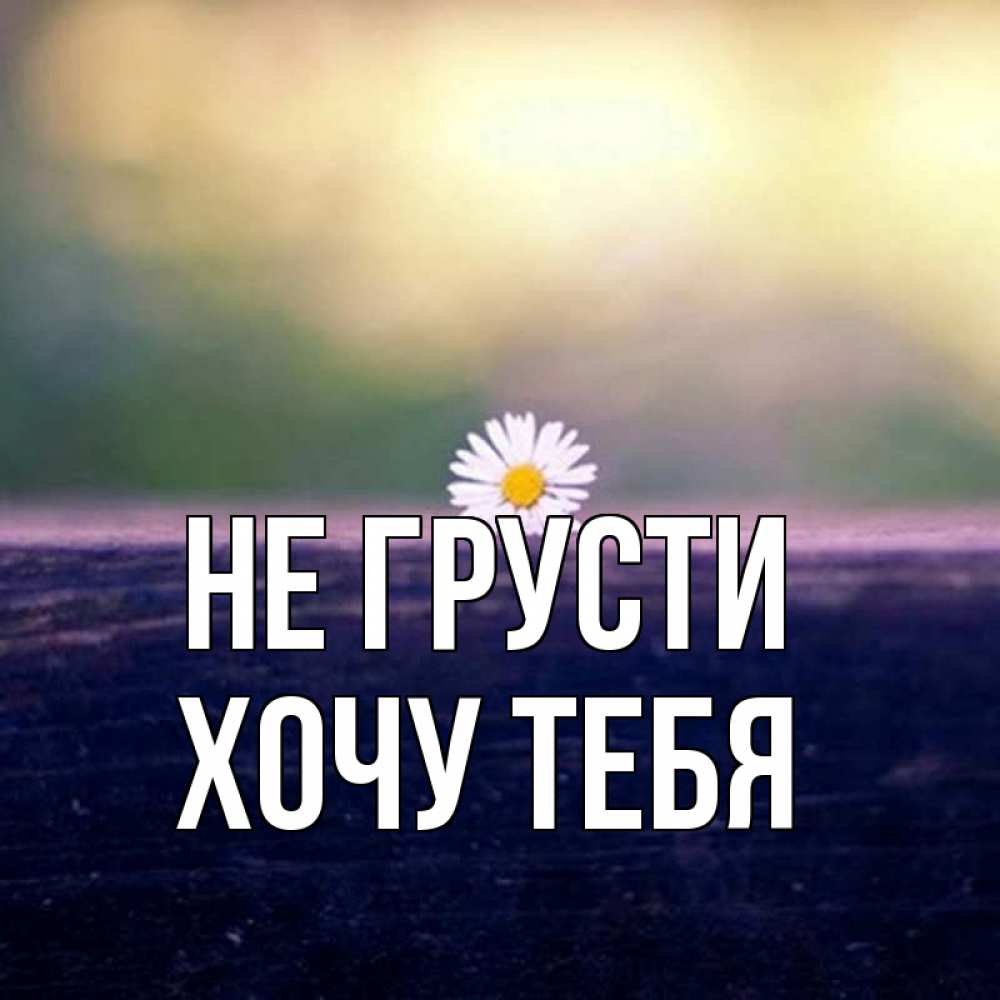 Картинка Не грусти, Хочу тебя