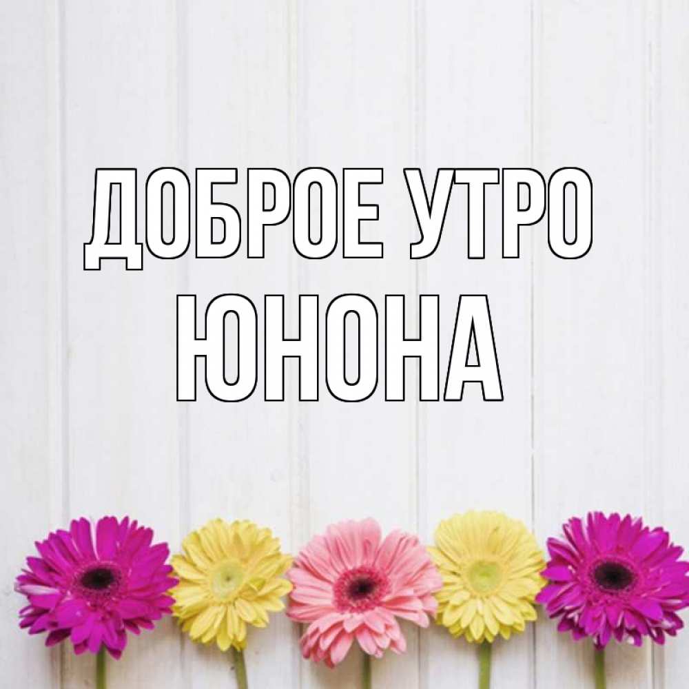 Открытка на каждый день с именем, Юнона Доброе утро красный желтый и розовый цветок Прикольная открытка с пожеланием онлайн скачать бесплатно 