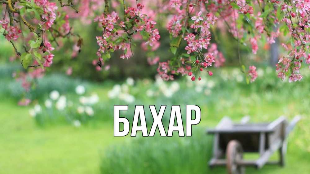Открытка на каждый день с именем, Бахар Главная С 1 мая Прикольная открытка с пожеланием онлайн скачать бесплатно 