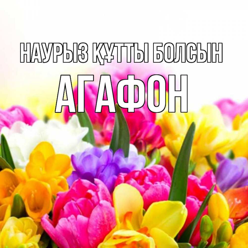 Открытка на каждый день с именем, Агафон Наурыз құтты болсын тюльпаны Прикольная открытка с пожеланием онлайн скачать бесплатно 