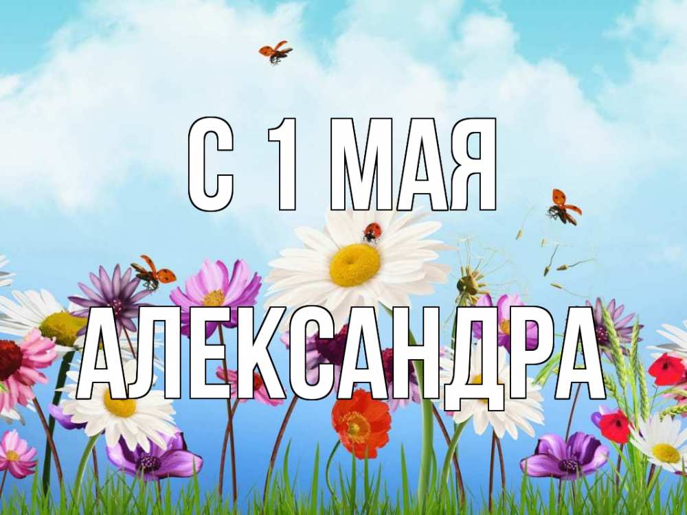 Открытка на каждый день с именем, Александра С 1 мая С 1 мая Прикольная открытка с пожеланием онлайн скачать бесплатно 