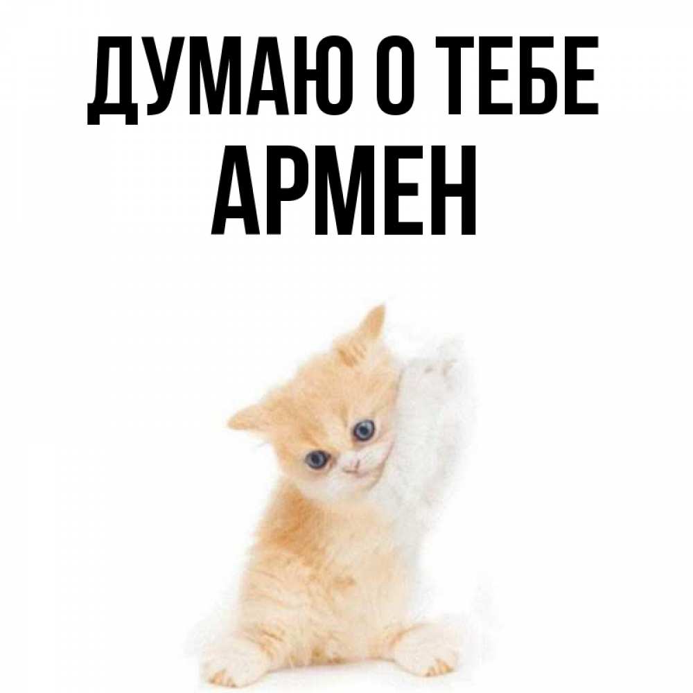 Открытка на каждый день с именем, Армен Думаю о тебе зверушки и милота Прикольная открытка с пожеланием онлайн скачать бесплатно 