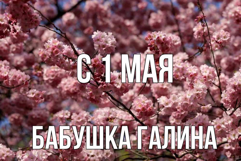 Открытка на каждый день с именем, Бабушка-Галина С 1 мая С 1 мая Прикольная открытка с пожеланием онлайн скачать бесплатно 