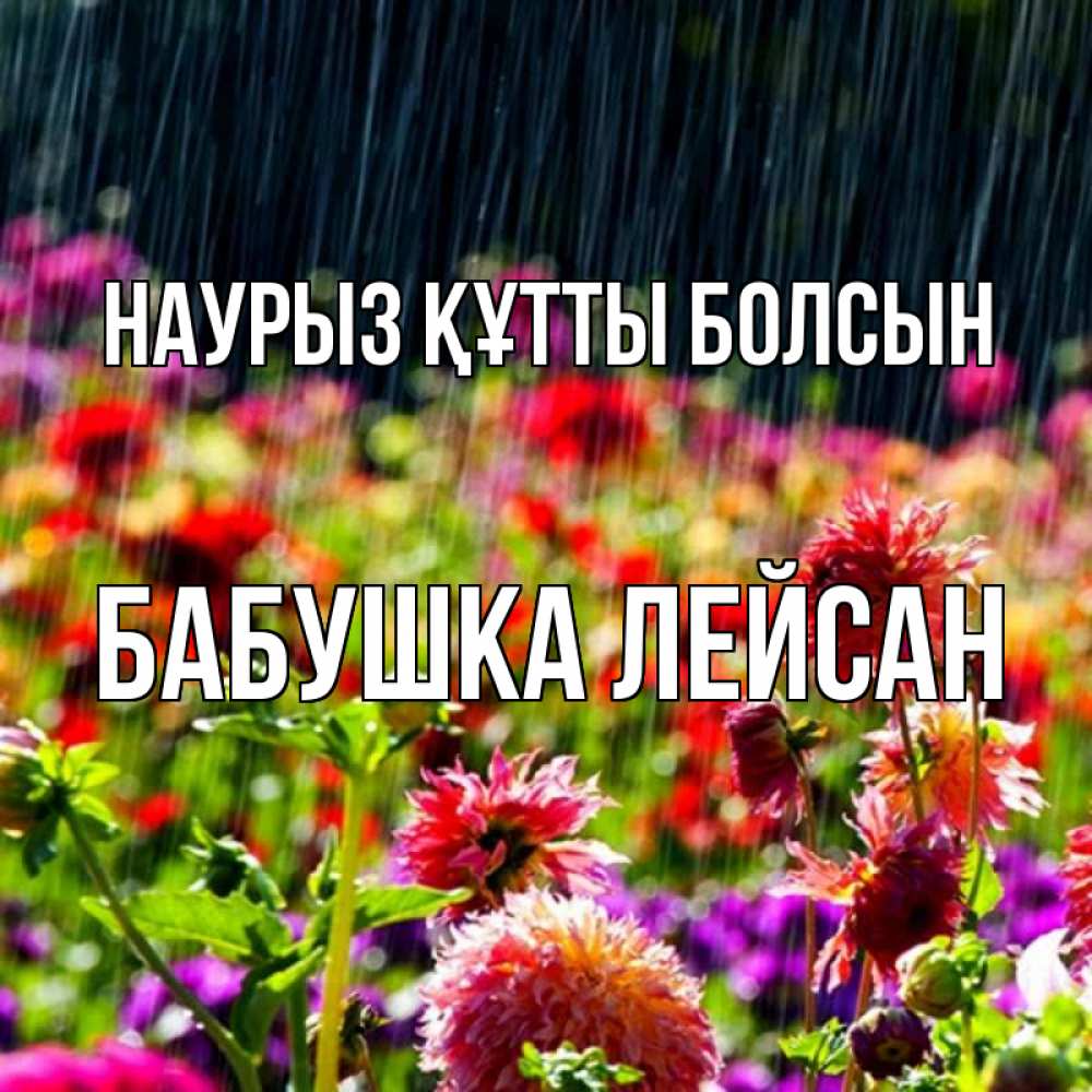 Открытка на каждый день с именем, Бабушка-Лейсан Наурыз құтты болсын цветы под дождиком к наурызу Прикольная открытка с пожеланием онлайн скачать бесплатно 