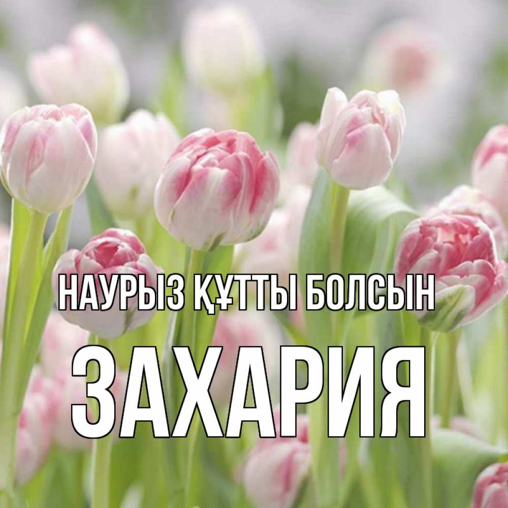 Открытка на каждый день с именем, Захария Наурыз құтты болсын цветы Прикольная открытка с пожеланием онлайн скачать бесплатно 