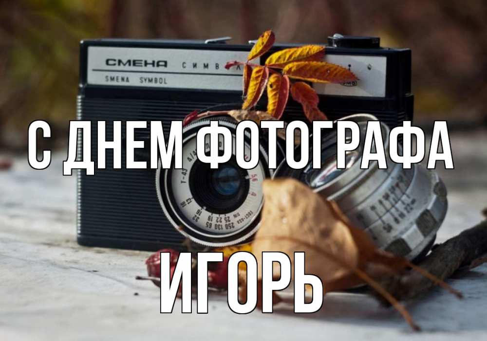 Открытка на каждый день с именем, Игорь С днем фотографа с днем фотографа Прикольная открытка с пожеланием онлайн скачать бесплатно 