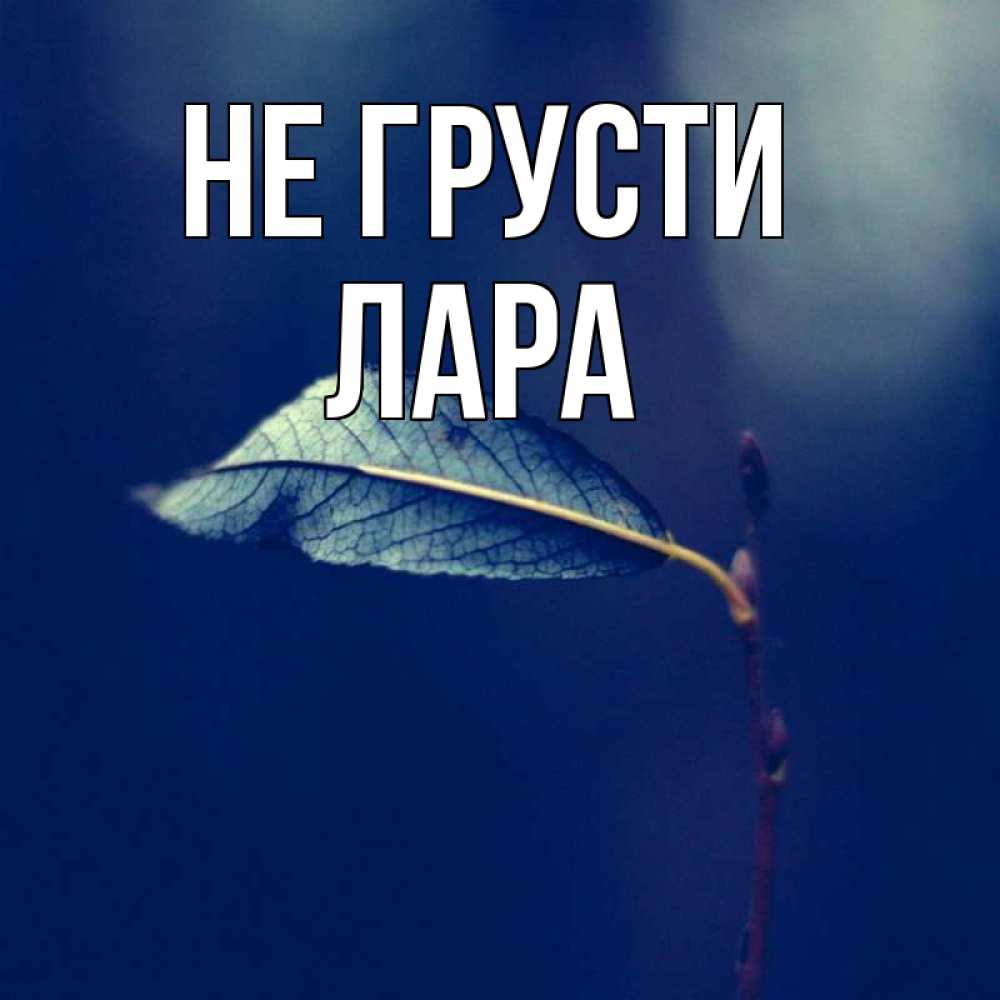 Открытка на каждый день с именем, Лара Не грусти растение Прикольная открытка с пожеланием онлайн скачать бесплатно 