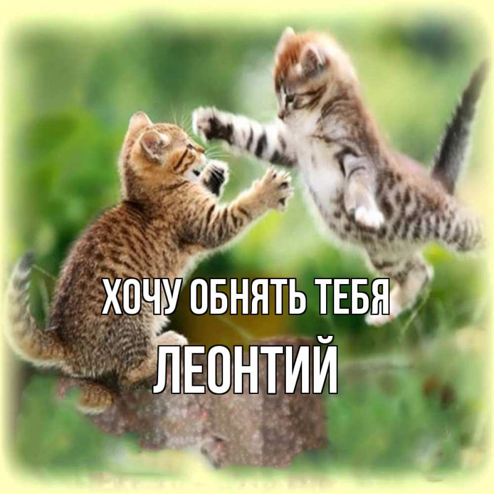 Открытка на каждый день с именем, Леонтий Хочу обнять тебя игры котят Прикольная открытка с пожеланием онлайн скачать бесплатно 