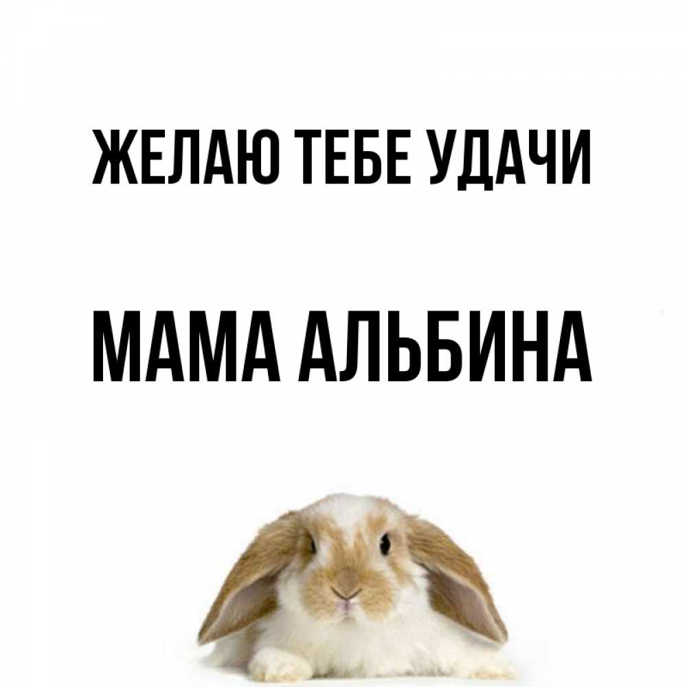Открытка на каждый день с именем, Мама-Альбина Желаю тебе удачи открытки с произвольным текстом который можно вставить в открытку и создать ее самостоятельно бесплатно онлайн Прикольная открытка с пожеланием онлайн скачать бесплатно 