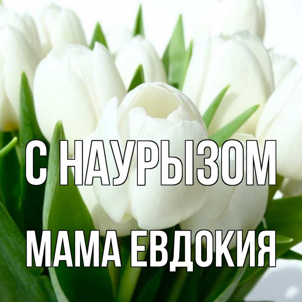 Открытка на каждый день с именем, Мама-Евдокия С наурызом цветы Прикольная открытка с пожеланием онлайн скачать бесплатно 