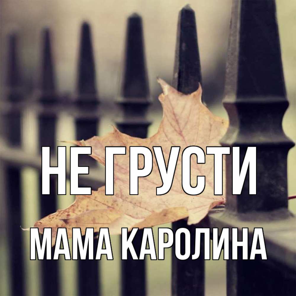 Открытка на каждый день с именем, Мама-Каролина Не грусти лист клена Прикольная открытка с пожеланием онлайн скачать бесплатно 