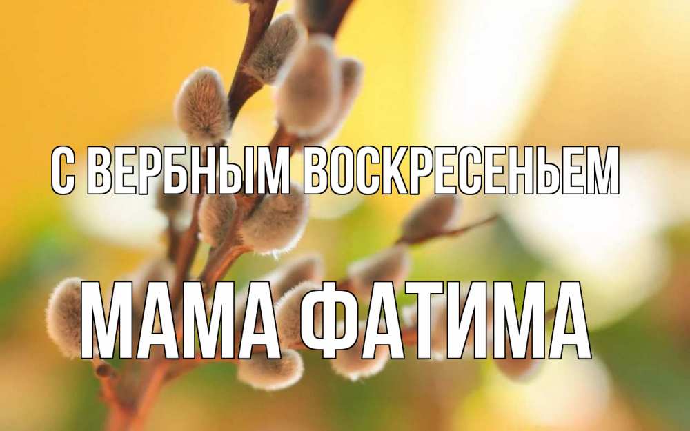 Открытка на каждый день с именем, Мама-Фатима С вербным воскресеньем верба Прикольная открытка с пожеланием онлайн скачать бесплатно 