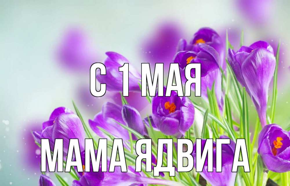 Открытка на каждый день с именем, Мама-Ядвига С 1 мая 1 мая Прикольная открытка с пожеланием онлайн скачать бесплатно 