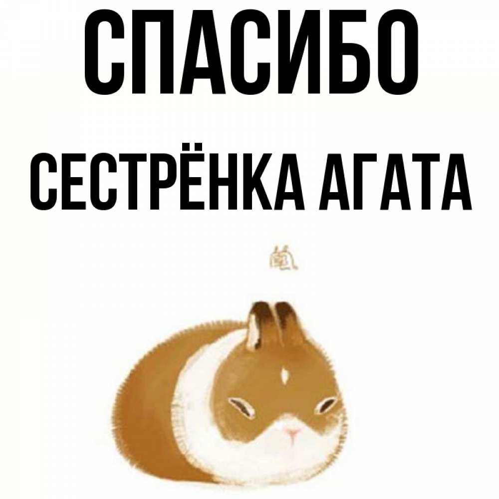 Открытка на каждый день с именем, Сестрёнка-Агата Спасибо коричнево белый домашний питомец Прикольная открытка с пожеланием онлайн скачать бесплатно 