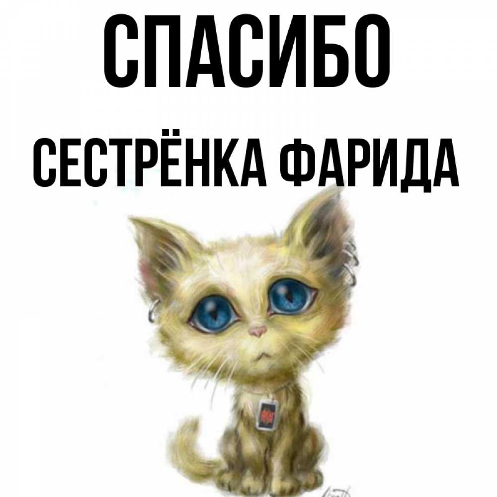 Открытка на каждый день с именем, Сестрёнка-Фарида Спасибо рисованный кот благодарит вас Прикольная открытка с пожеланием онлайн скачать бесплатно 